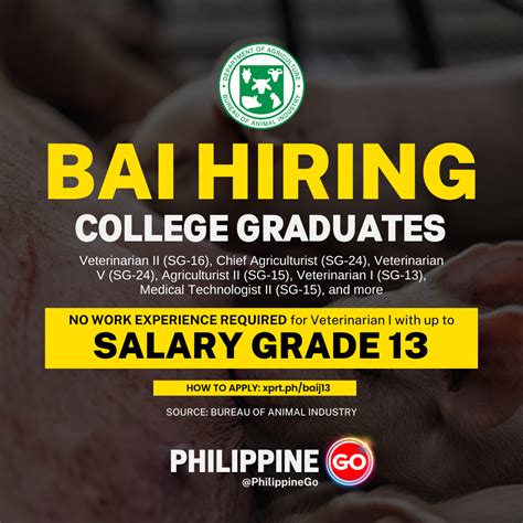 bai job vacancies|Work at BAI .